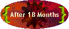 After 18 Months
