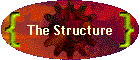The Structure